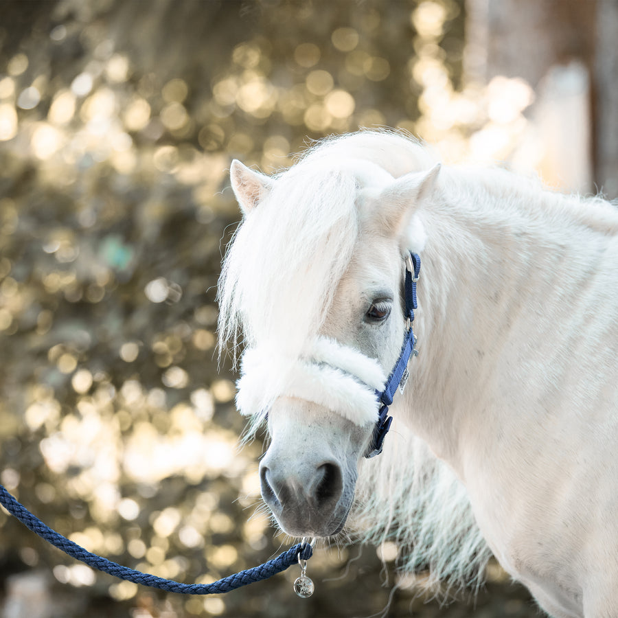 Shetty/Minishetty Führstrick Midnight Blue